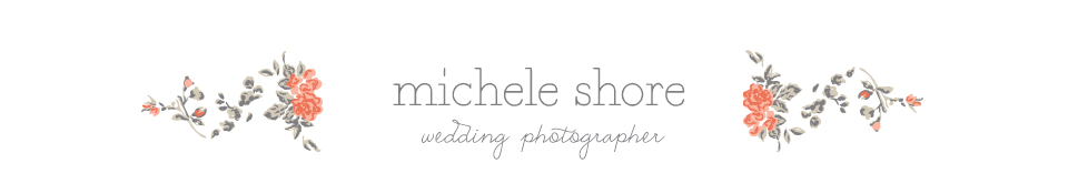 Michele Shore Photography | Dallas Fine Art Wedding Photographer logo