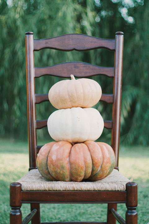 Pumpkin Photographer