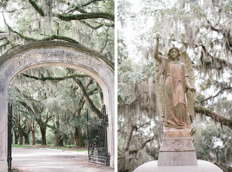 Wormsloe Historic Site Photography