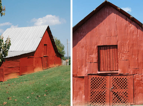 Destination Photographer