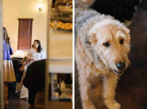 Dallas Wedding Photographer