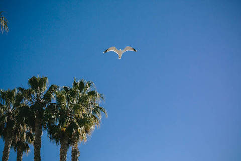 California Photographer