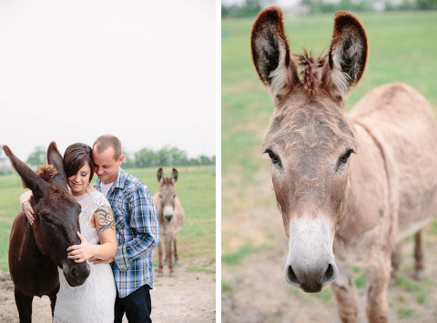 Donkey Engagement Pictures