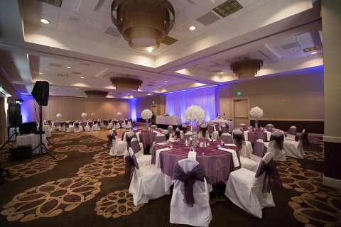 Hilton Wedding Photos