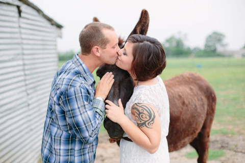 Horse Engagement Pictures
