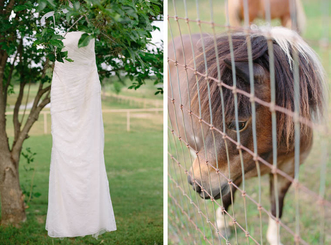 Dallas Wedding Photography