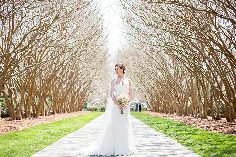 Photo by: Michele Shore Photography