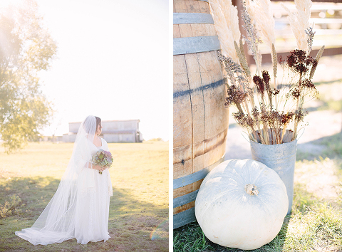 Ranch Wedding Photography