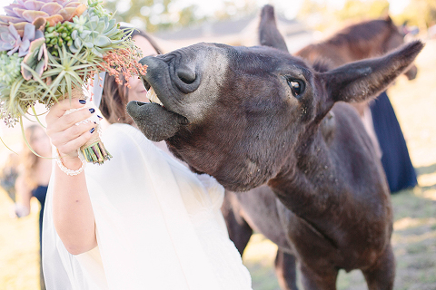 Photo by: http://www.micheleshore.com