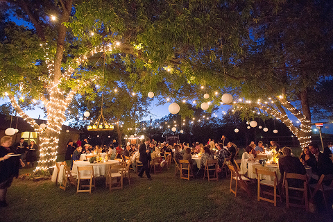 Photo by: http://www.micheleshore.com