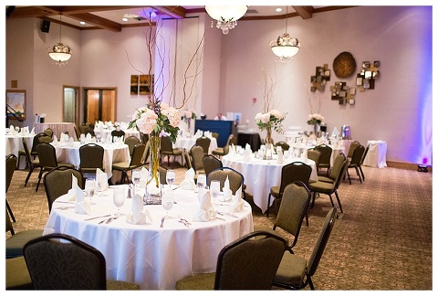 Plano Wedding Photographer_0034.jpg