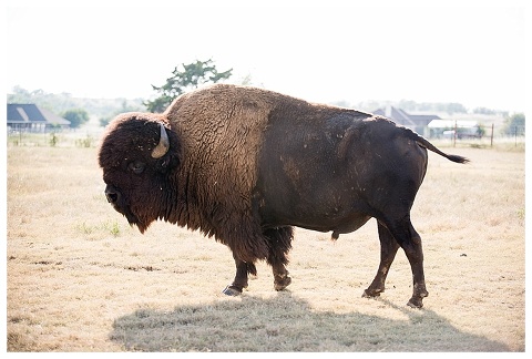 Buffalo Valley Event Center Wedding_0009.jpg