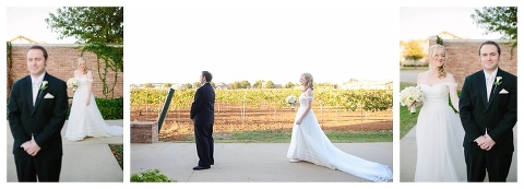 Delaney Vineyards Wedding_0022.jpg