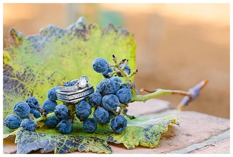 Delaney Vineyards Wedding_0040.jpg