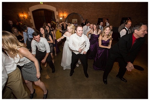 Delaney Vineyards Wedding_0079.jpg