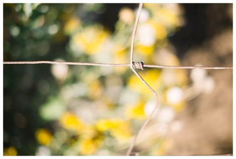 MD Resort Wedding_0010.jpg