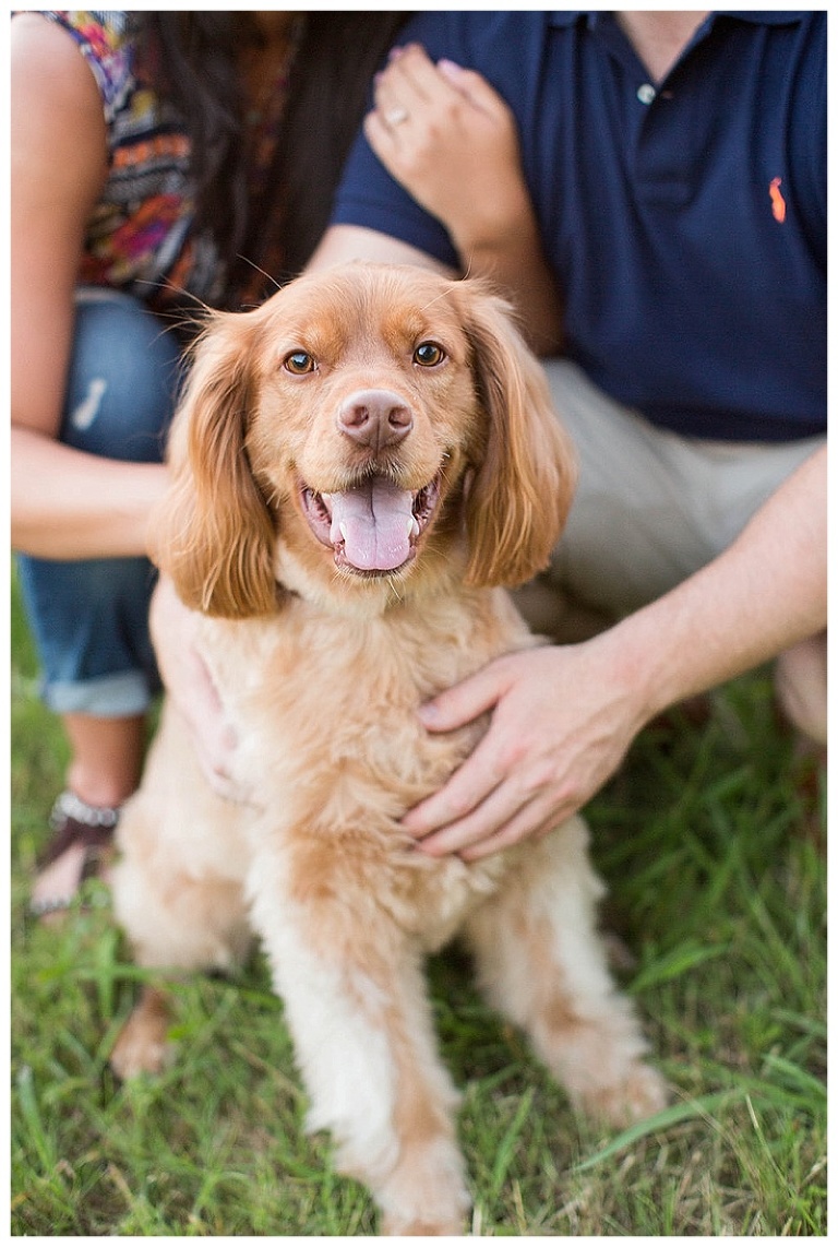 White Rock Lake Engagement_0016.jpg